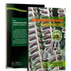 ATLAS KEANEKARAGAMAN TUMBUHAN PAKU KAWASAN HUTAN RAYA R. SOERYO (Watu Ondo, Coban Teyeng, Lemah Bang dan Jalan Tahura)