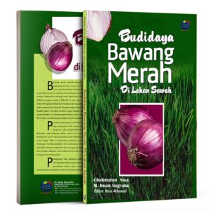 Budidaya Bawang Merah Di Lahan Sawah